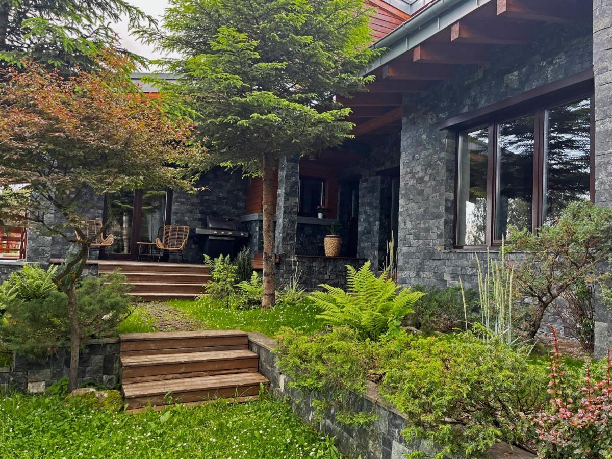 Bazalt Wellness Villa Харгита-Бэй Экстерьер фото