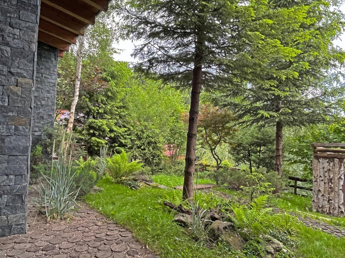 Bazalt Wellness Villa Харгита-Бэй Экстерьер фото